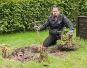 Flieder-Beet