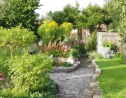 Blick in den Garten