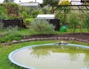 Poolbeet