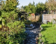 Blick in den Garten