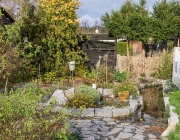 Blick in den Garten
