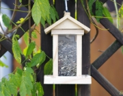 neues Vogelhäuschen