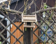 Vogelhäuschen