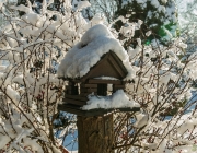 Vogelhäuschen