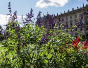 Würzburger Residenz