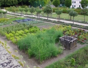 Würzburger Residenz