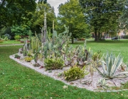 Bad Windsheim, Kurpark