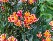 Bad Windsheim, Kurpark