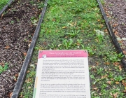 Bad Windsheim, Kurpark