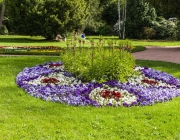 Kartausgarten (Eisenach)