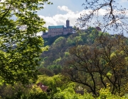 Blick auf die Wartburg