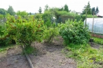 Beerenecke