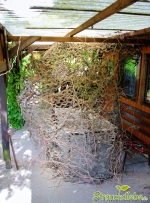 2013-07-1.jpg