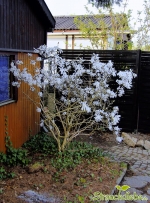 2014-04-1.jpg