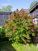 2014-05-1.jpg