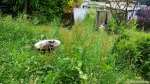 2013-06-1.jpg
