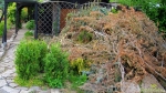 2013-07-2.jpg