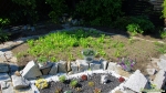 2014-06-1.jpg