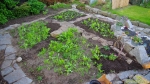 2014-06-2.jpg