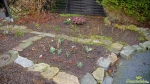 2015-03-1.jpg