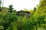 Schuppen 1