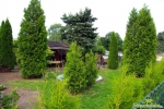 Pool und Laube 2