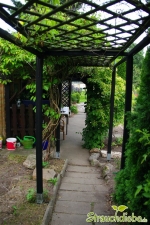 Schuppengang 2