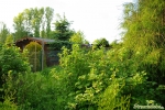 Beete 1