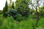 Blick auf die Laube 1
