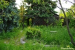 Weg Laube 1