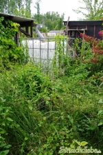 Wasserfass 1
