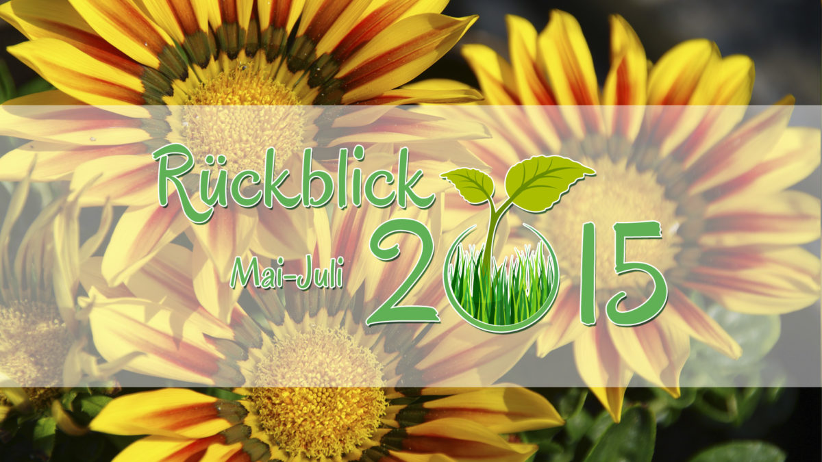 Gartenjahr 2015: Rückblick Mai-Juli