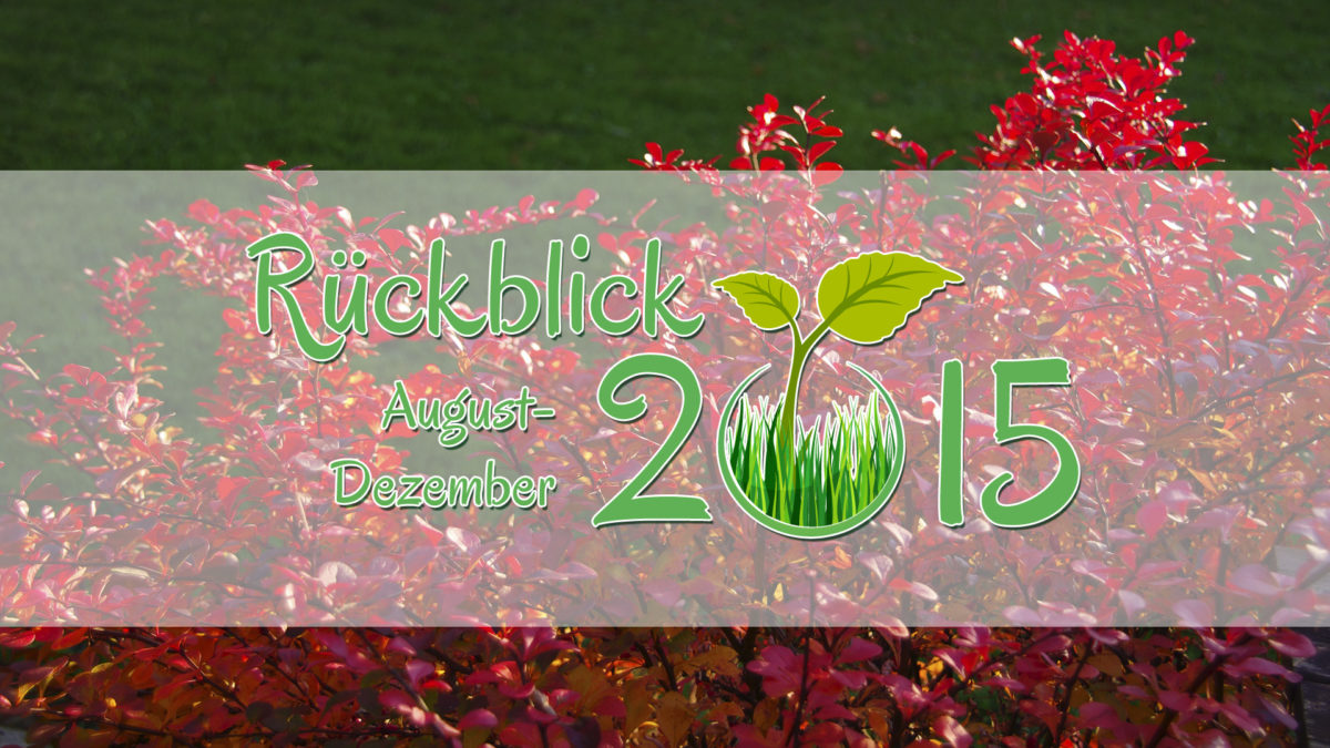 Gartenjahr 2015: Rückblick August-Dezember