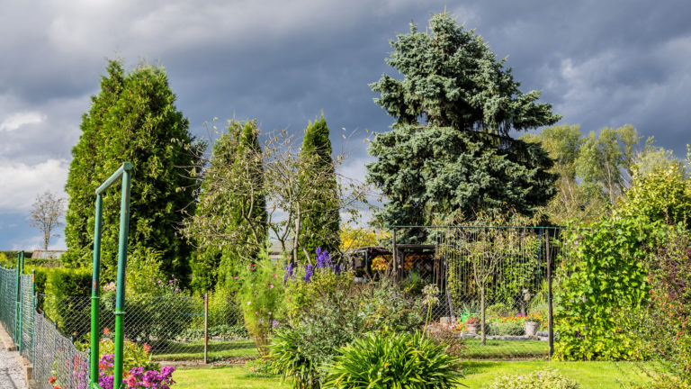 Dunkle Wolken über unserem Garten (02.10.16)