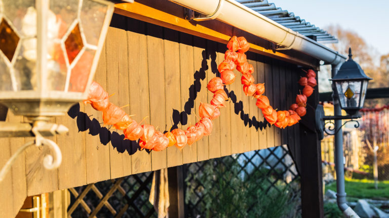 Herbstdekoration an der Laube