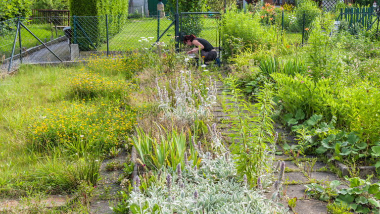 Fremder Vereinsgarten