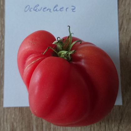 Tomate: Ochsenherz